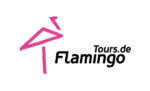 flamingo Tours Logo